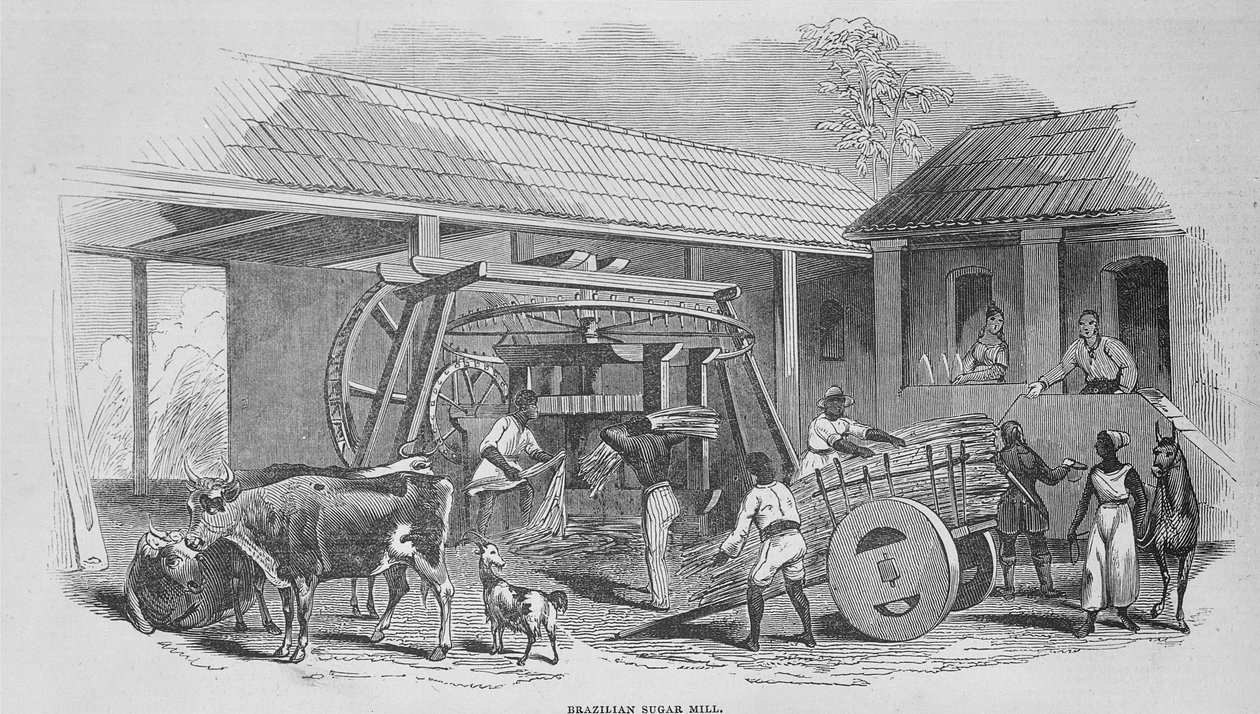 製糖工場、1835年頃 作： ヨハン・モーリッツ・ルゲンダス