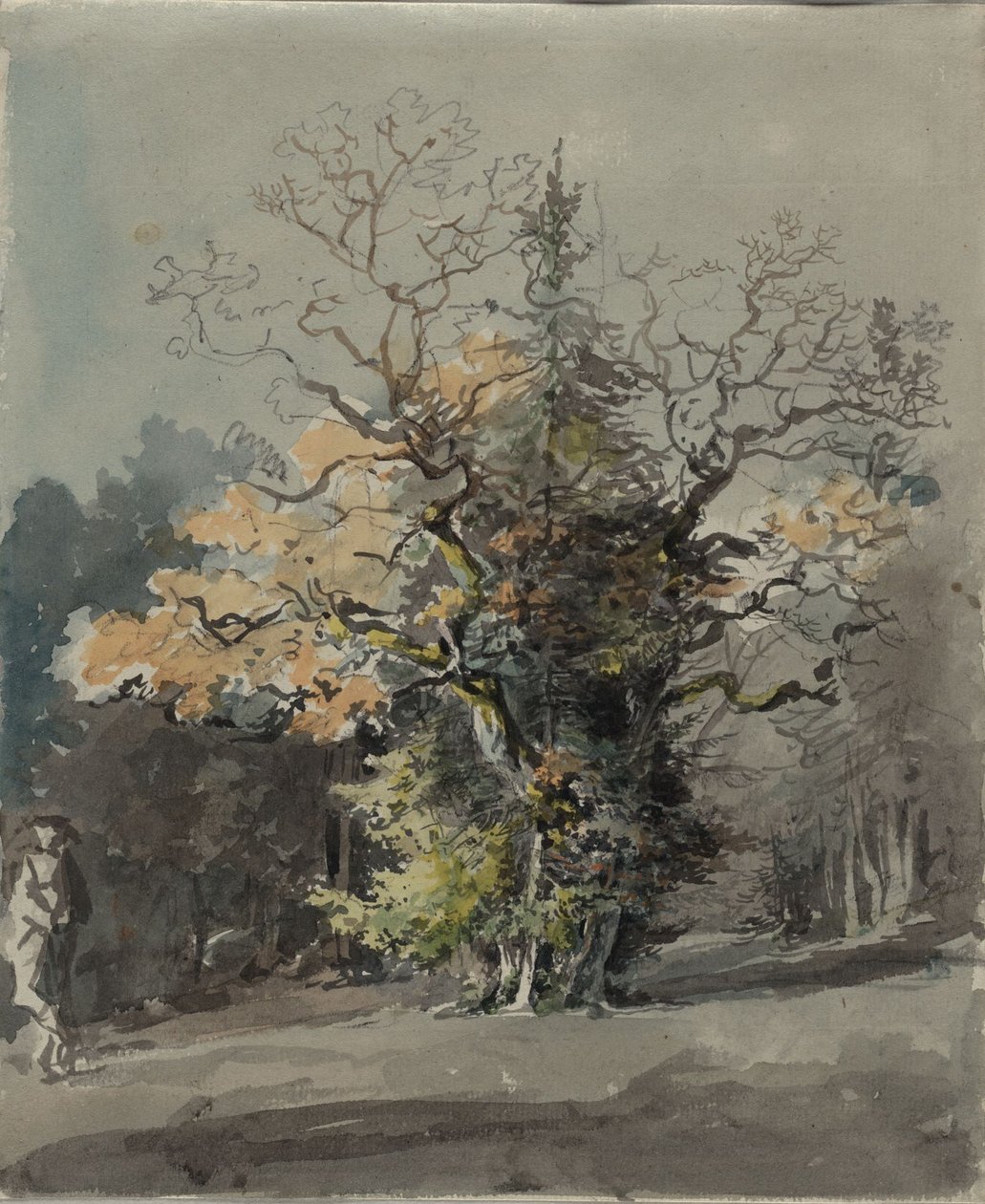 森の前の木立 作： マクシミリアン・ヨハン・ゲオルク・フォン・ディリス