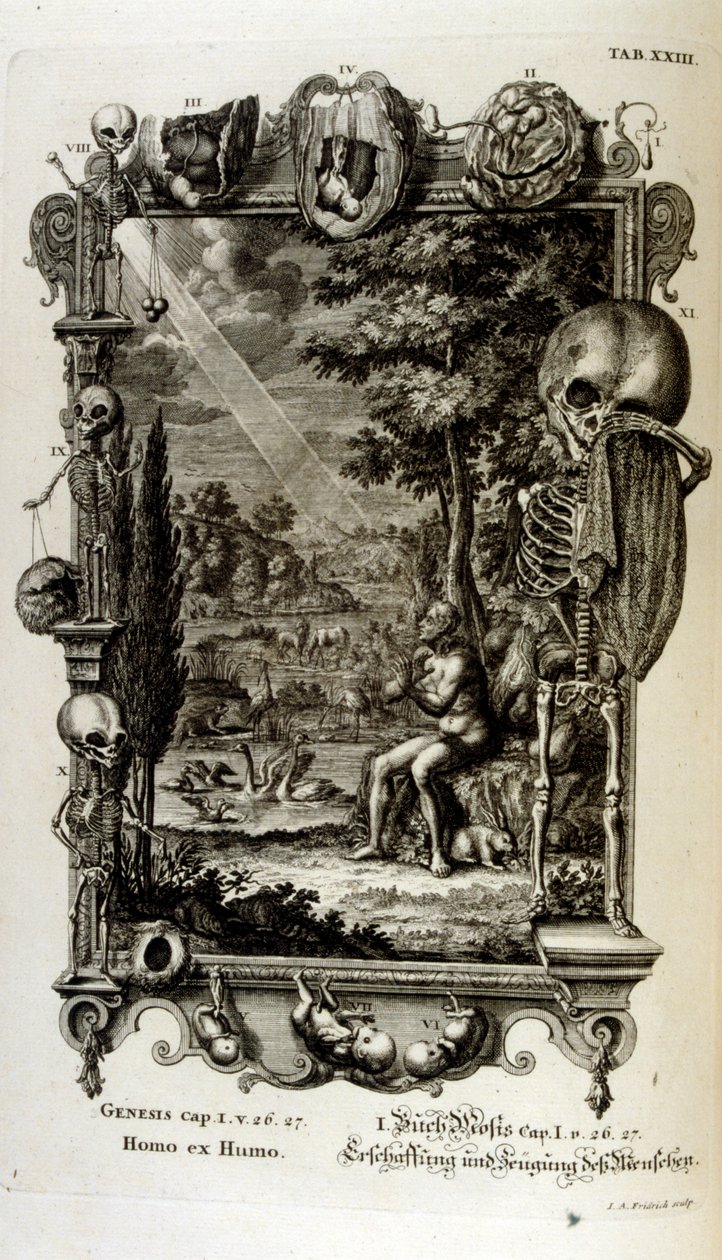 スイスの学者による「Physica Sacra」の銅版画。 ヨハン・ヤコブ・ショイツァー 作： ヨハン・ヤーコブ・シューツァー