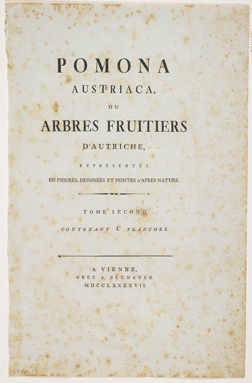 「Pomona Austriaca、またはオーストリアの果樹」のタイトルページ、1787-96（印刷） 作： ヨハン・クラフト