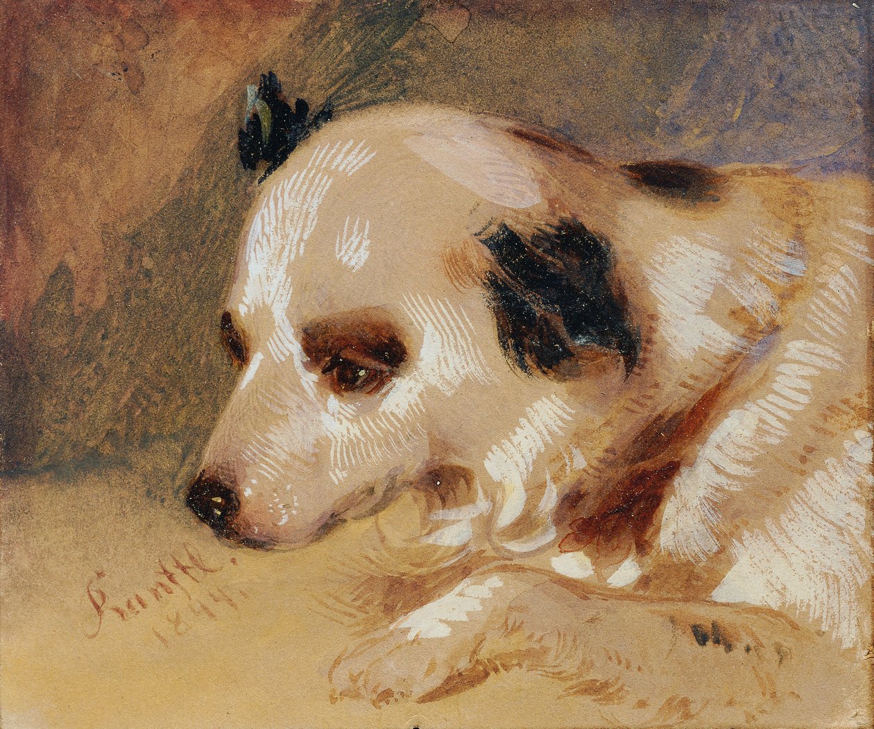 犬の頭 作： Johann Matthias Ranftl