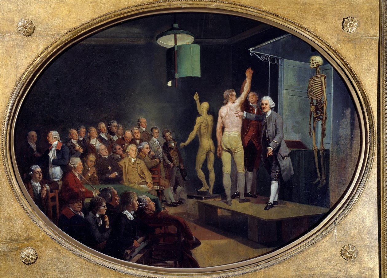 スコットランドの解剖学者ウィリアム・ハンター（1718-1783）によるロイヤル・アカデミーでの講義。ヨハン・ゾファニー（1733-1810）の絵画 Ec.Ang. 作： ヨーハン・ゾファニー