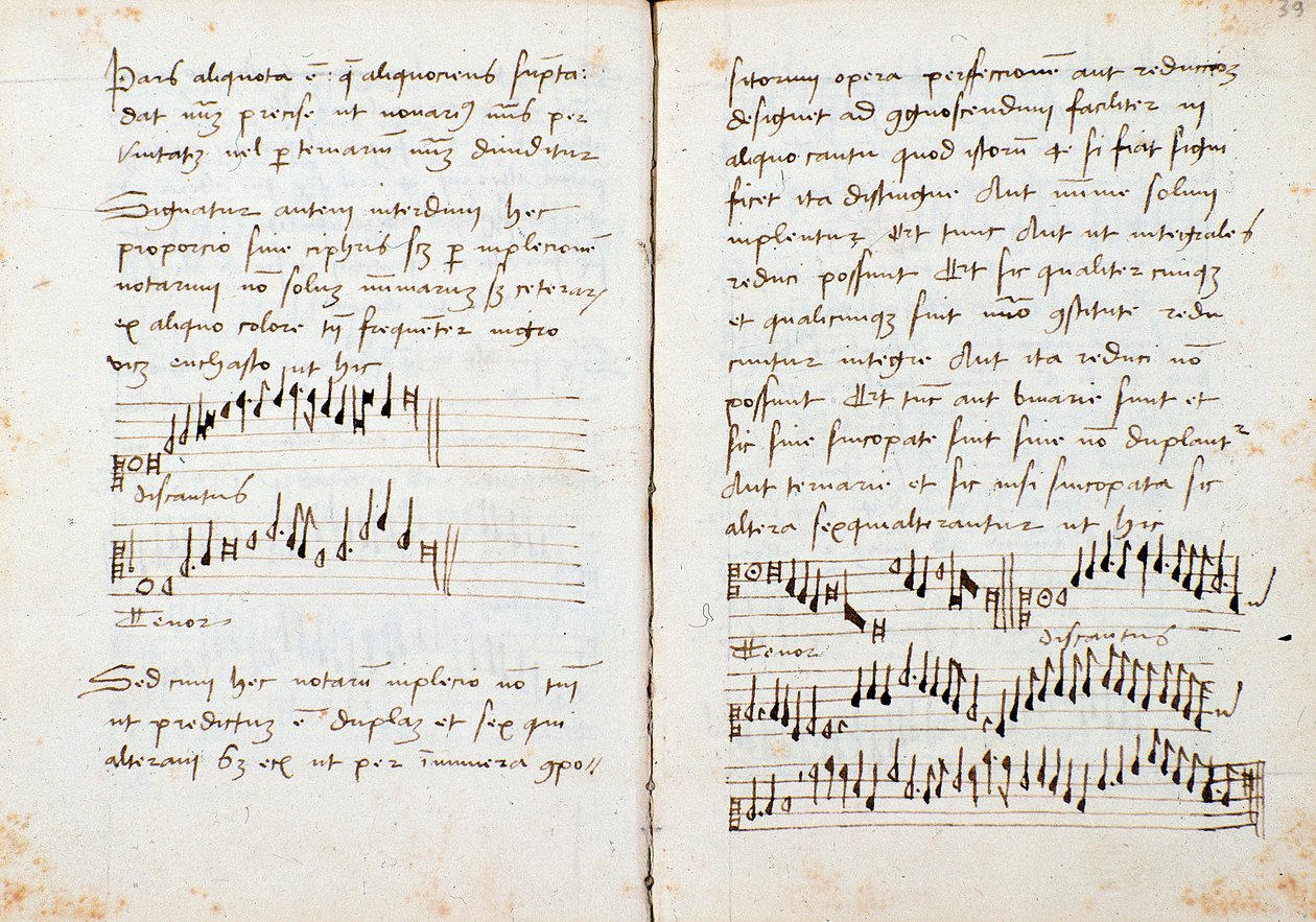 Johannes Tinctoris 著 A Music Theory Book のページ 作： ジョン（c.1435 1511）ティンクトーリス