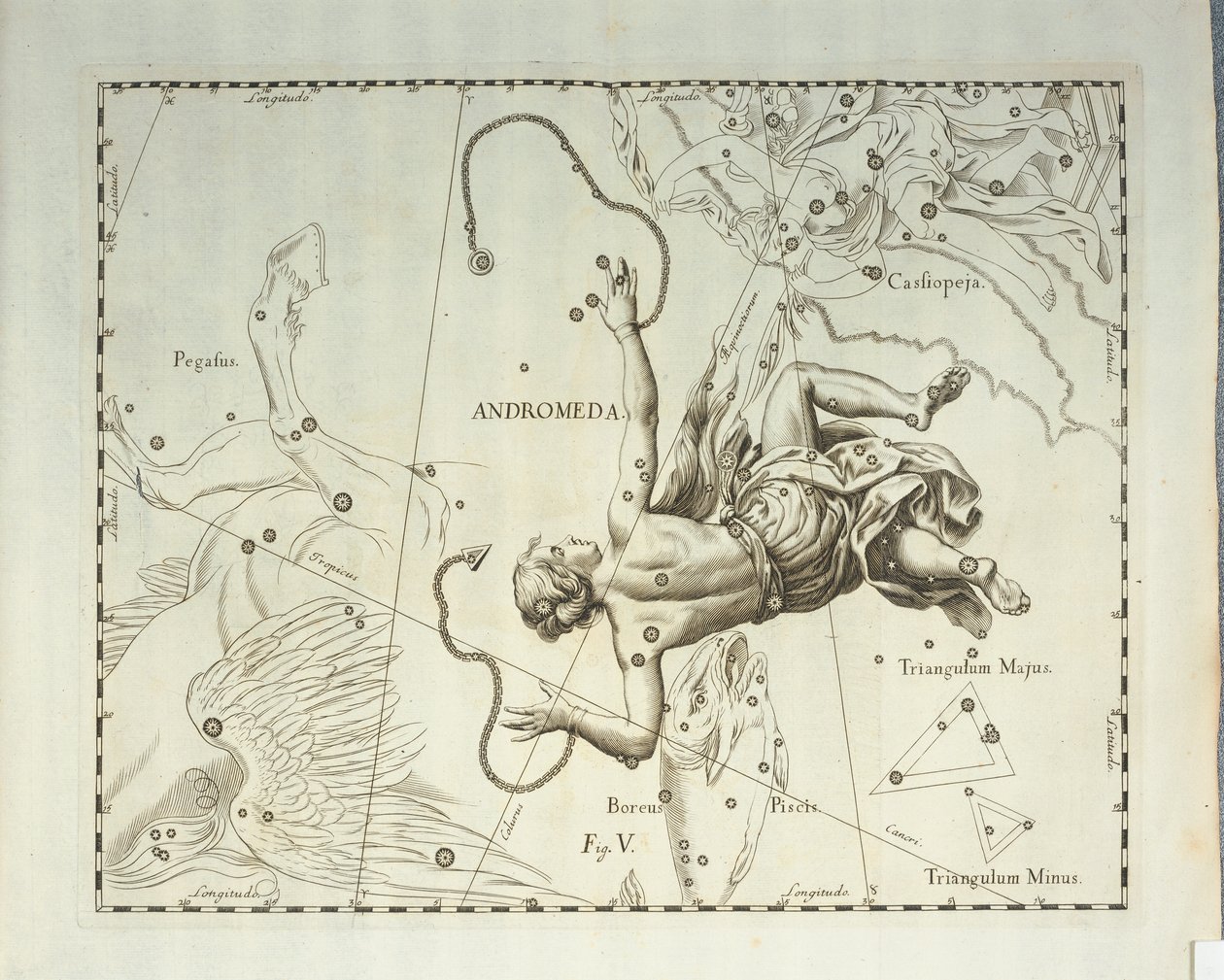アンドロメダ座のボレアル星座、天体アトラス Firmamentum Sobiescianum sive Uronographia からの彫刻、Johann Hevelius (1611-1687)、グダニスク作 作： ヨハネス・ヘベリウス