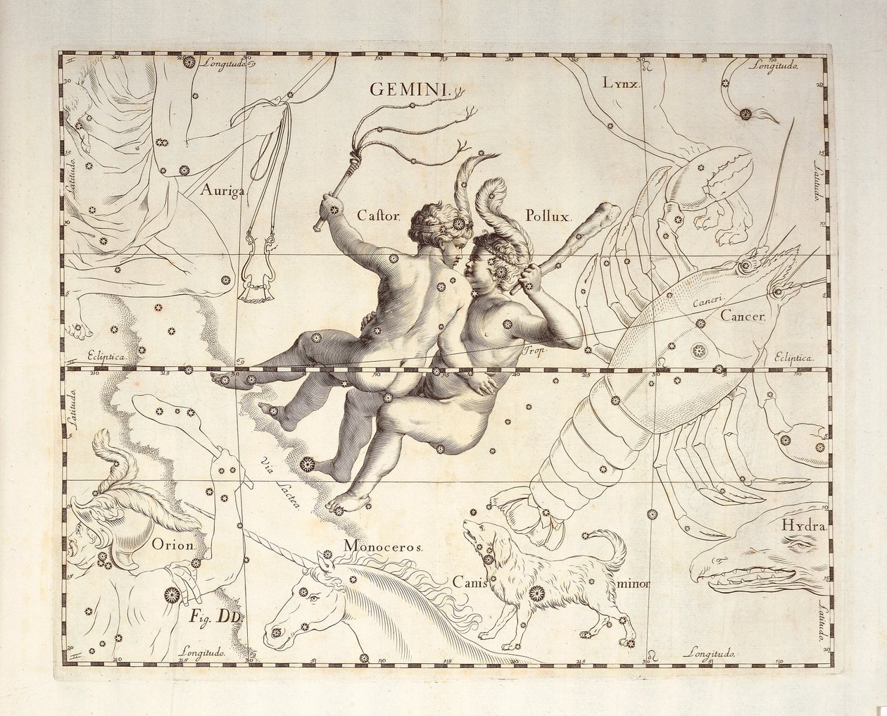 ジェミニのジェミニ星座、天体アトラス Firmamentum Sobiescianum sive Uronographia からの彫刻、Johann Hevelius (1611-1687)、グダニスク作 作： ヨハネス・ヘベリウス