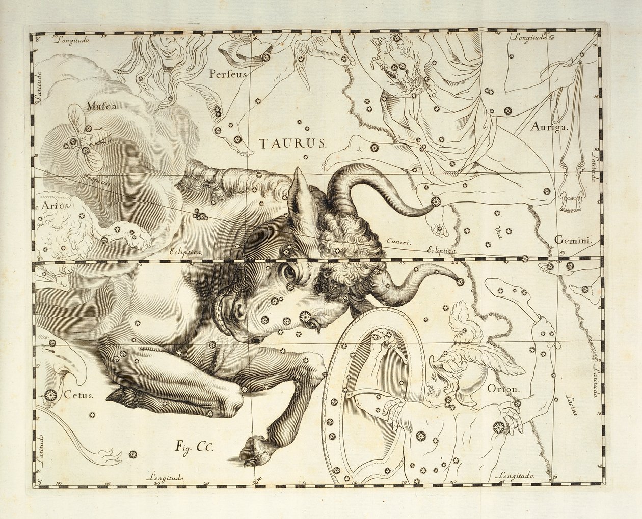 おうし座、おうし座の星座、天体アトラス Firmamentum Sobiescianum sive Uronographia からの彫刻、Johann Hevelius (1611-1687)、グダンスク作 作： ヨハネス・ヘベリウス