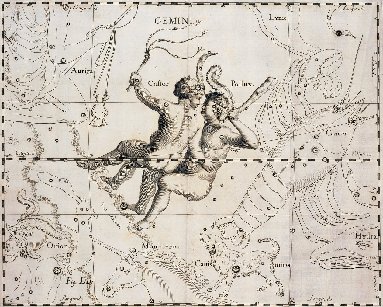 ふたご座（Johann Hevelius（1611-1687）著『Firmamentum Sobiescianum sive Uranographia』の図版、Gdansk 1690年 作： ヨハネス・ヘベリウス
