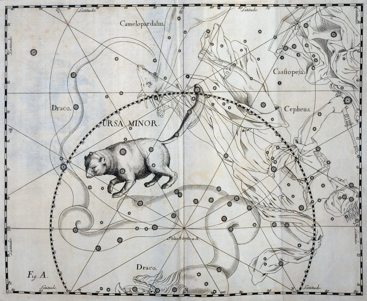 Ursa Minor, Boreal constellation of Ursa Minor, engraving from celestial atlas Firmamentum Sobiescianum sive Uronographia, by Johann Hevelius (1611-1687), Gdansk   1464566   ja       japanese Successfully Translated  Original: Don Quixote and sancho Panza  作： ヨハネス・ヘベリウス