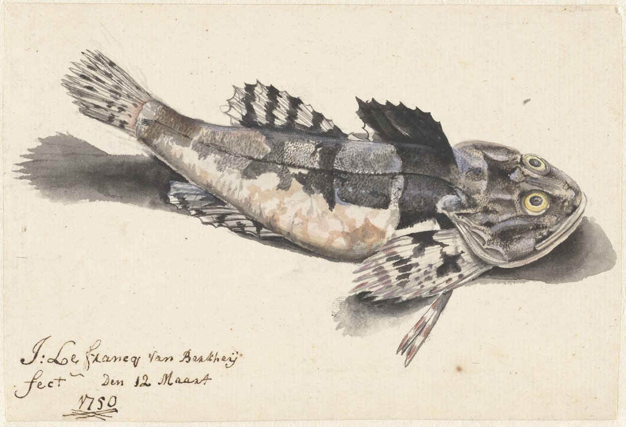 海底道路 作： Johannes le Francq van Berkhey