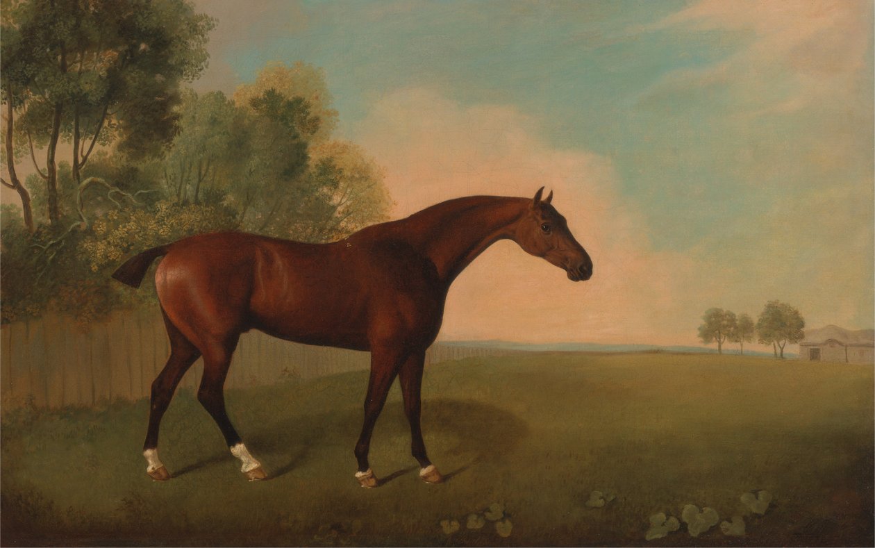フィールドの馬 作： ジョン・ボールトビー