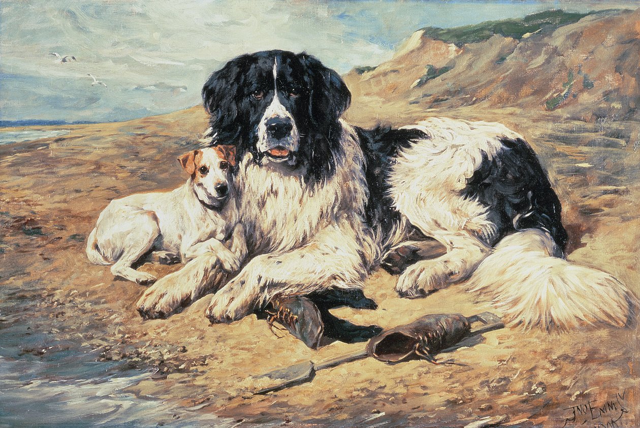 水浴びをする犬、1900 作： ジョン・エムズ