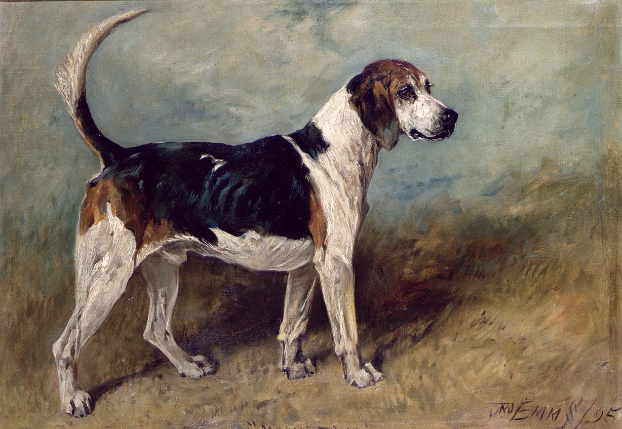 ムーンストーン、1895 作： ジョン・エムズ