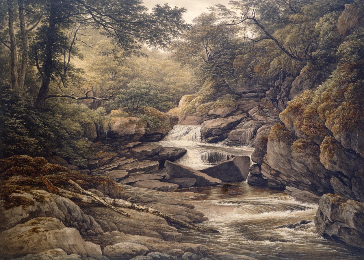 Rhiadr Ddu、Maentwrog、北ウェールズの近く 作： ジョン・グローバー