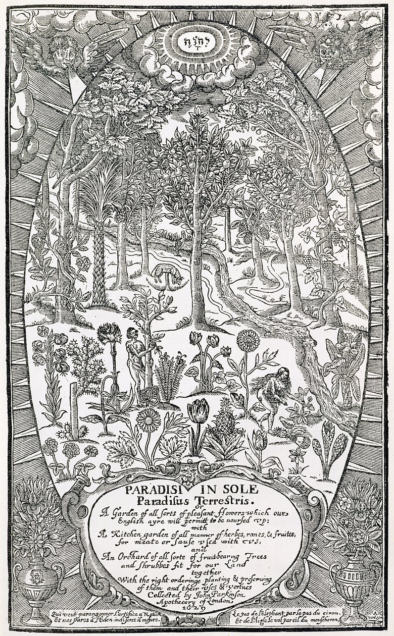 パラディシソールのタイトルページ。 Paradisus Terrestris、1629 作： ジョン・パーキンソン