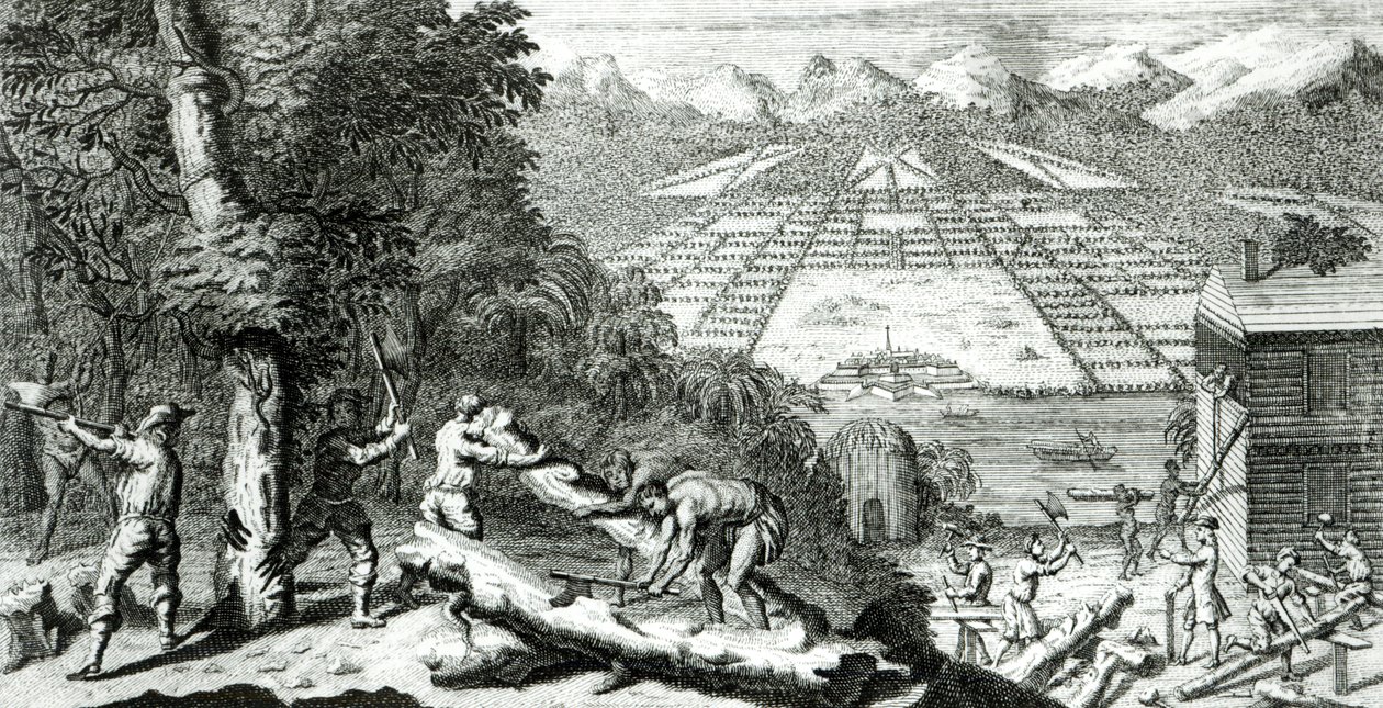 ベンジャミンマーティン（1699-1763）による「ジョージア州の植民地を設立した理由」からのイラスト、1733年 作： ジョン・パイン