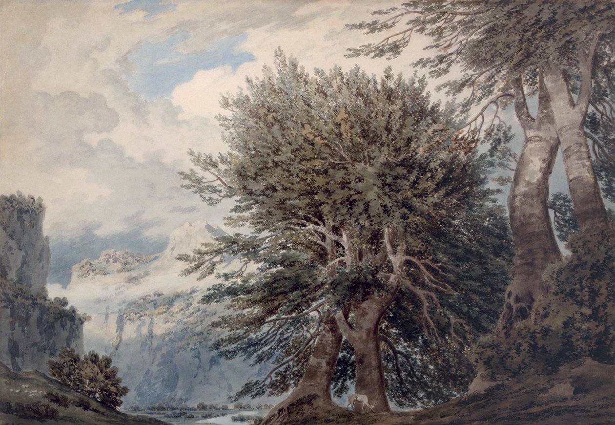 ブナの木のある山岳風景、1792 作： ジョン・ロバート・コーズ