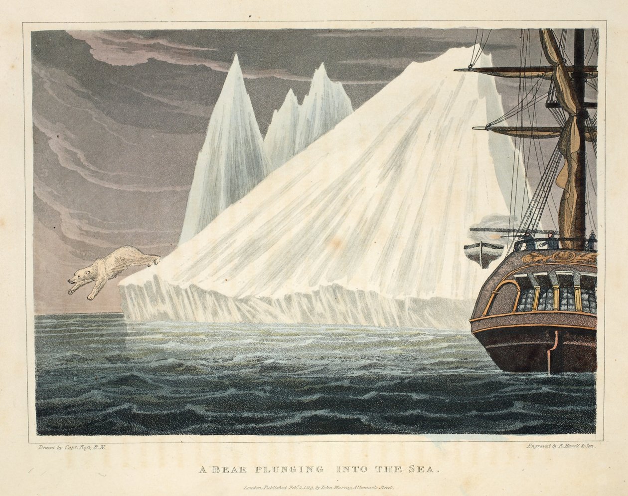 海に飛び込むクマ、「発見の航海...」のイラスト、1819年（手描きの彫刻） 作： ジョン・ロス