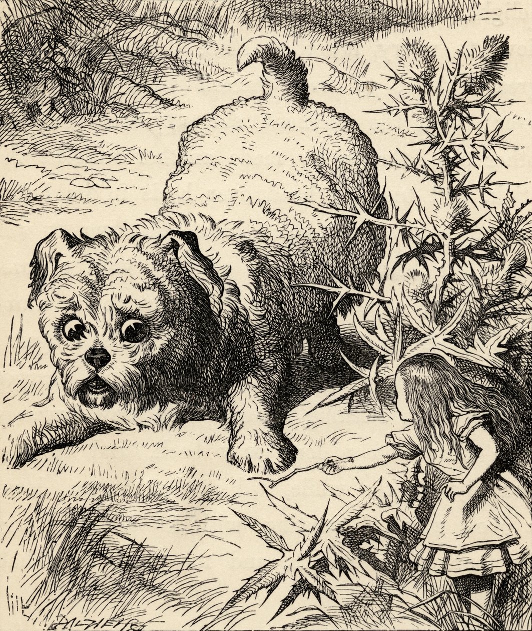 1891年に出版されたルイスキャロルの「不思議の国のアリス」から、アリスは縮んで子犬に会います 作： ジョン・テニエル