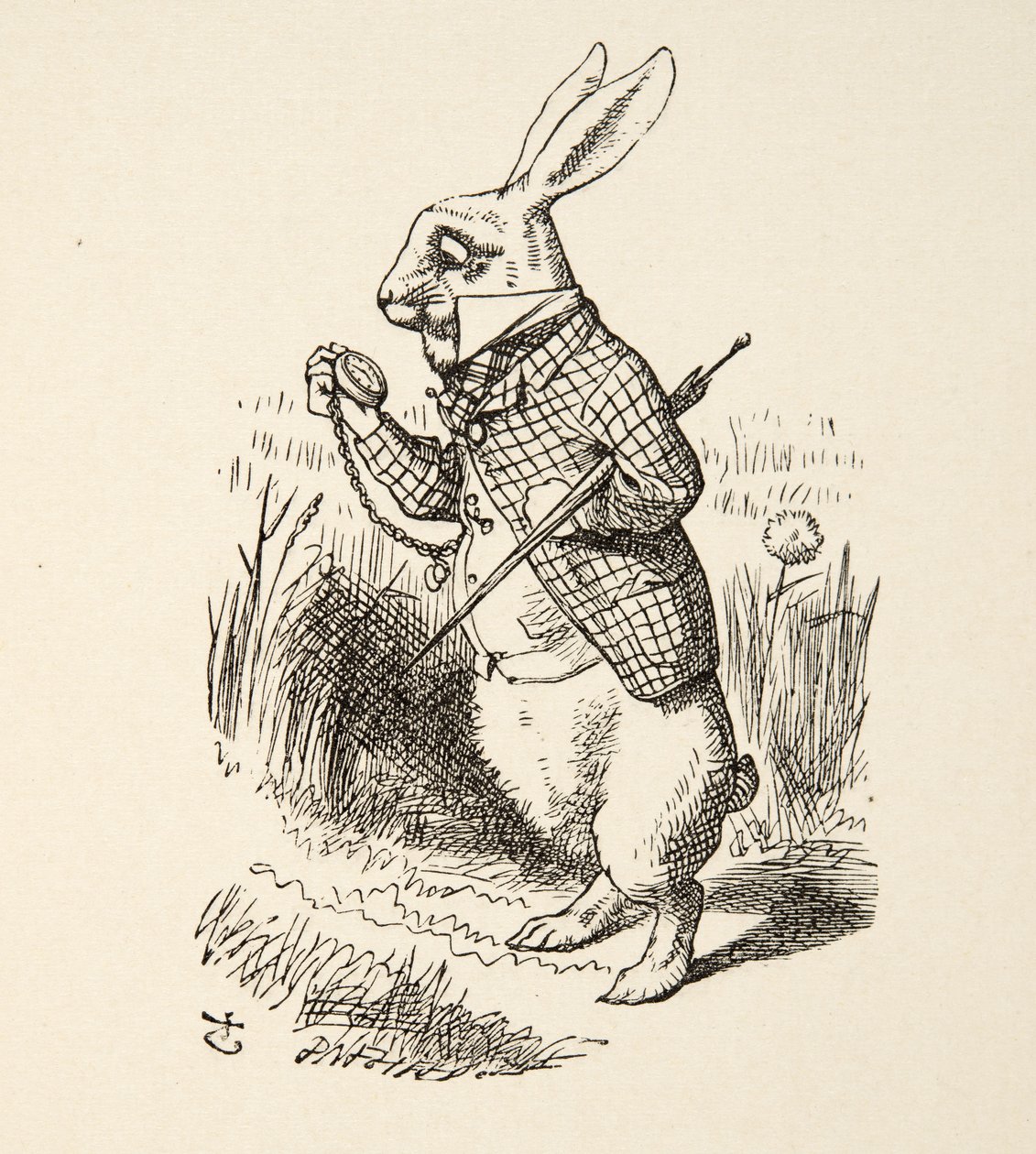The White Rabbit、from Alices Adventures in Wonderland by Lewis Carroll（1832-98）、pub。 1891 作： ジョン・テニエル
