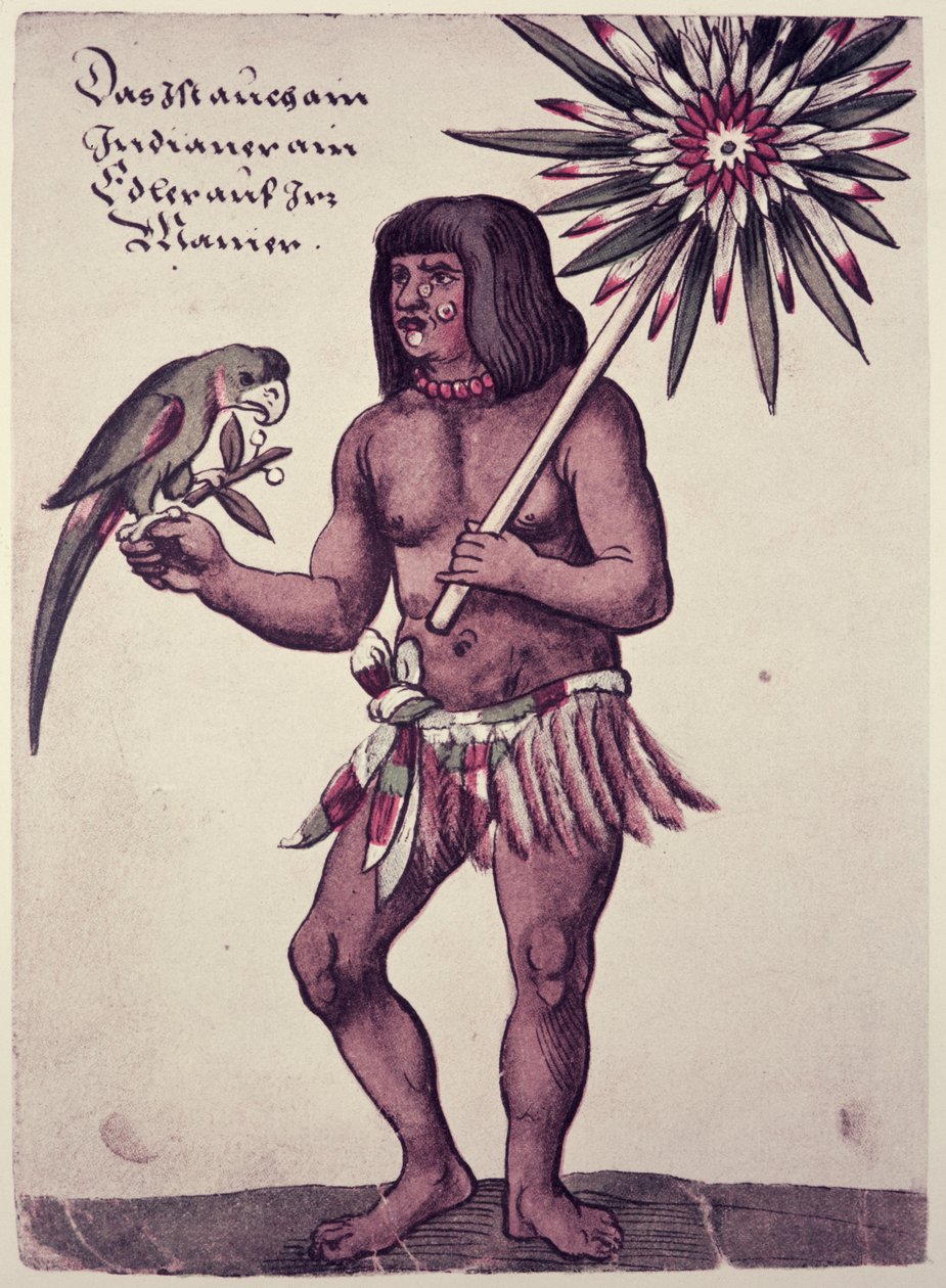 アマゾンのインディアン、セオドア・ド・ブライ（1528-98）による彫刻 作： ジョンホワイト