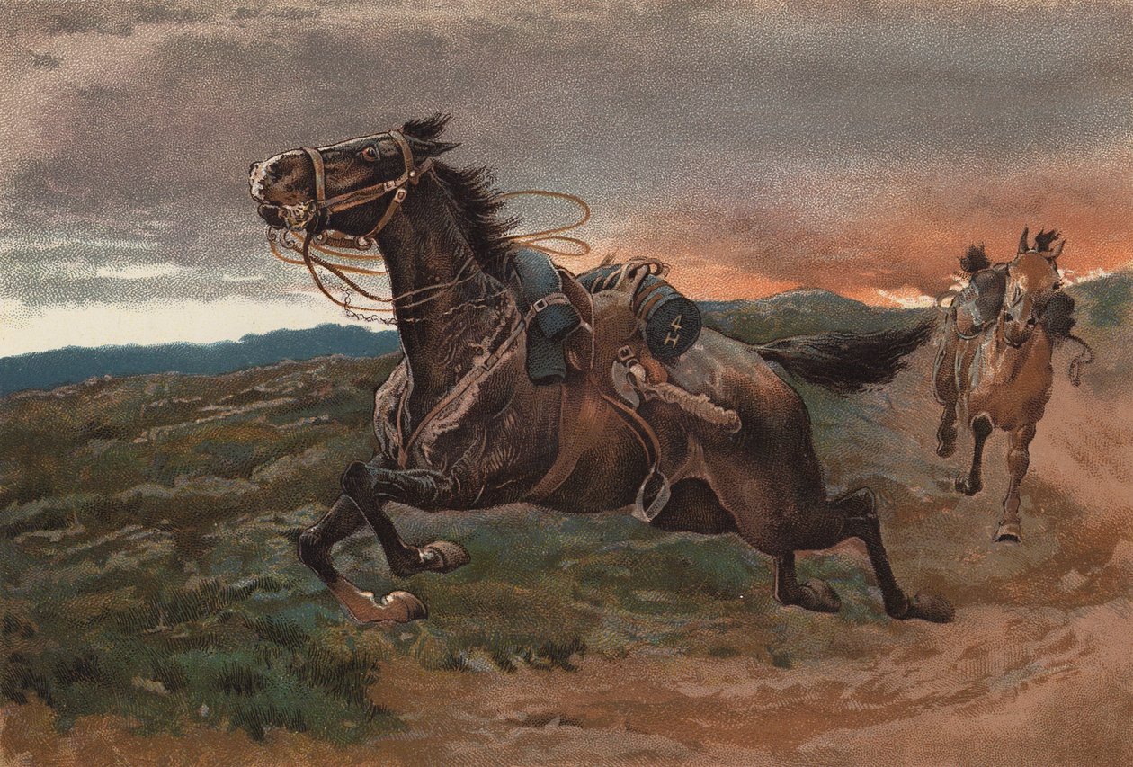  作： ジョン（後）チャールトン