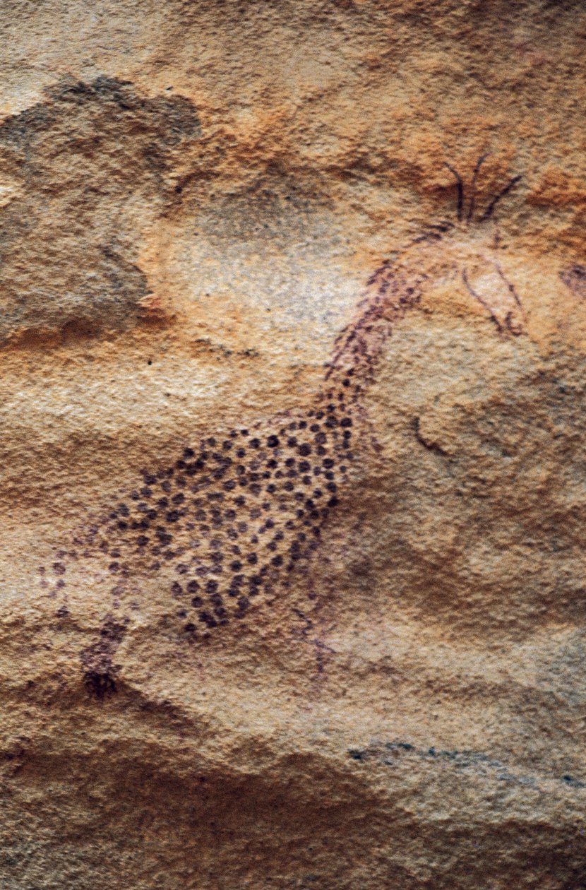 キリン、洞窟壁画、牧畜時代（紀元前4000～2500年）、タッシリ・ナジェール（ユネスコ世界遺産登録 作： ウォルターチャールズミルズ