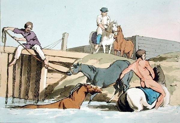 馬の水浴び」（画家によるエッチング、1803年発行）（カラーリトグラフ 作： ジョン・オーガスタス・アトキンソン