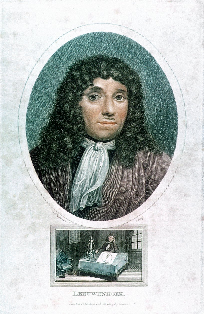 アントンファンレーウェンフック1632-1723、オランダの顕微鏡専門家、c1810 作： ジョン・チャップマン