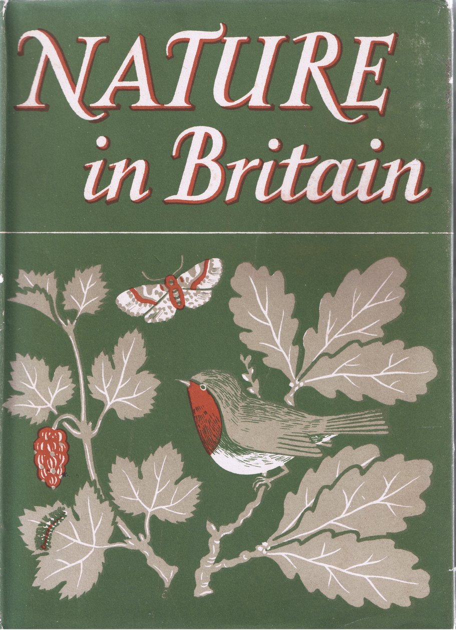 木々の研究、イギリスの自然、コリンズ発行、1946 作： ジョン・クローム