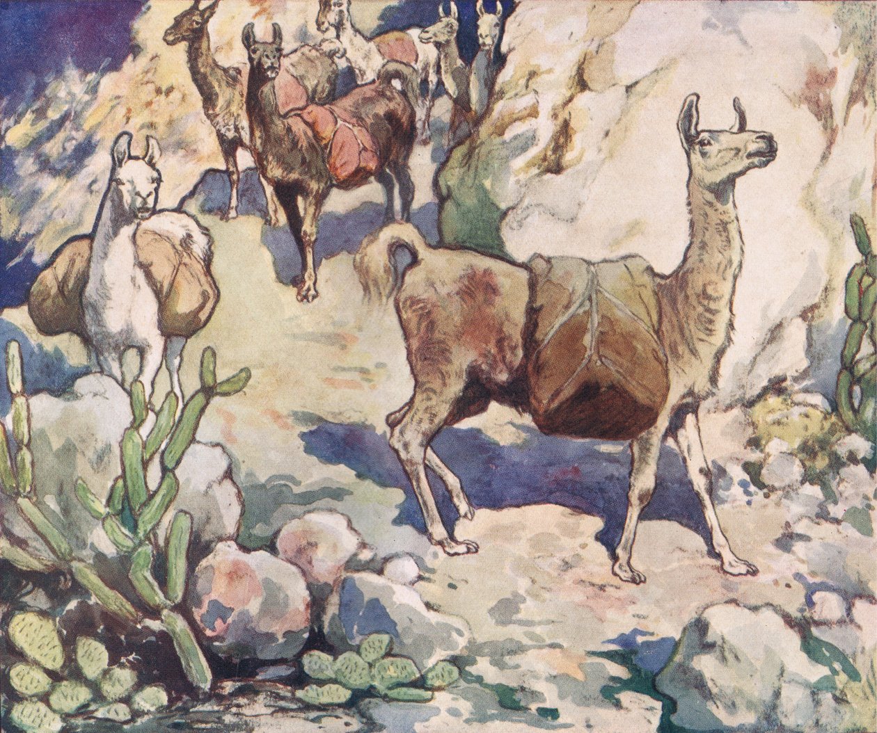 山道のアルパカ、1919年に出版されたGladys Davidsonによる「Helpers Without Hands」のイラスト（カラーリソ） 作： ジョン・エドウィン・ノーブル