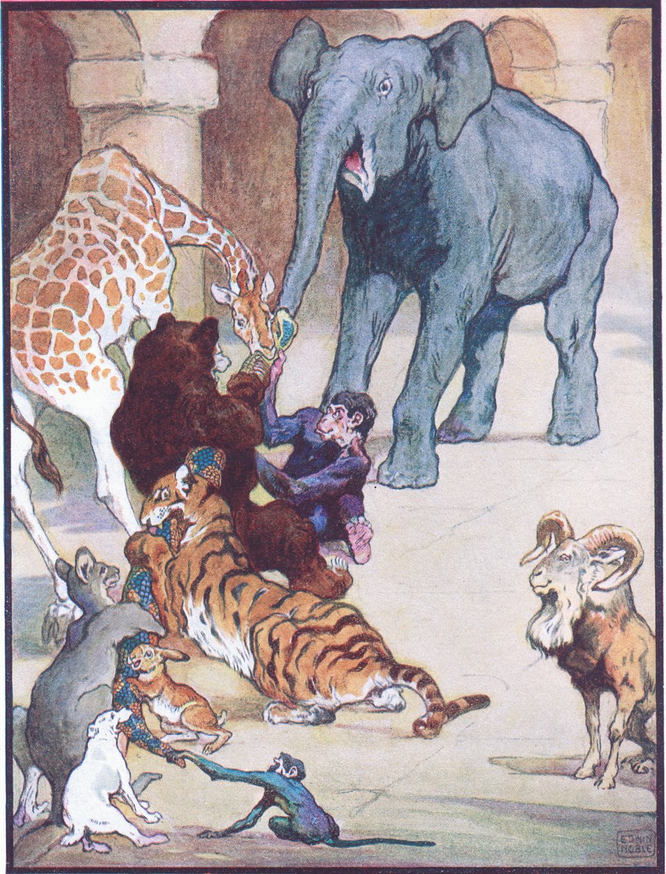 Raphael Tuck & Sons Ltd.発行の「Animal Legends from Many Lands」より「Zum, Zum, Ziss」のイラスト「Never Before or since has been a Tug of War」（カラーリソ） 作： ジョン・エドウィン・ノーブル