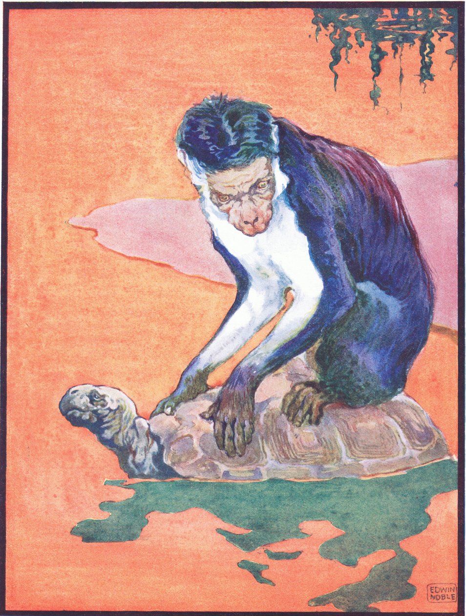 「The Monkey at Once Became Suspicious」、「The Tortoise and the Monkey」のイラスト、Raphael Tuck & Sons Ltd. 発行 (カラー リソ) 作： ジョン・エドウィン・ノーブル
