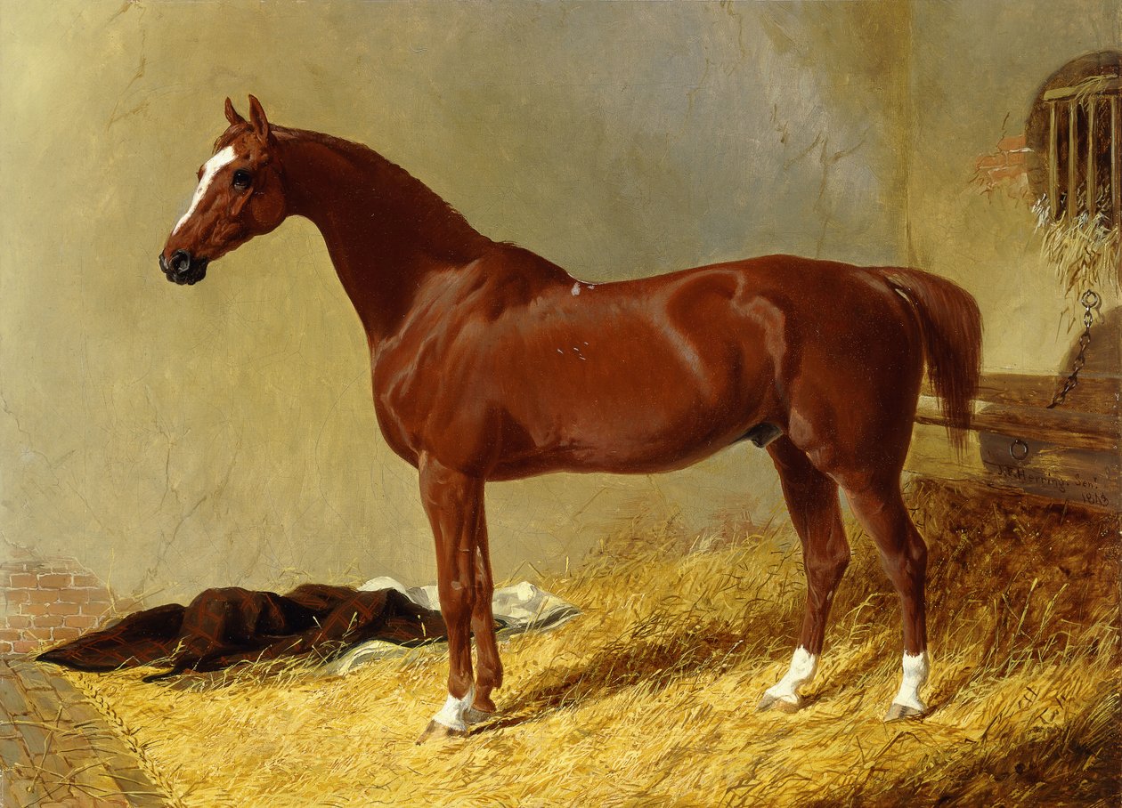 屋台のベイ競走馬、1843 作： ジョン・フレデリック・ヘリング・シニア