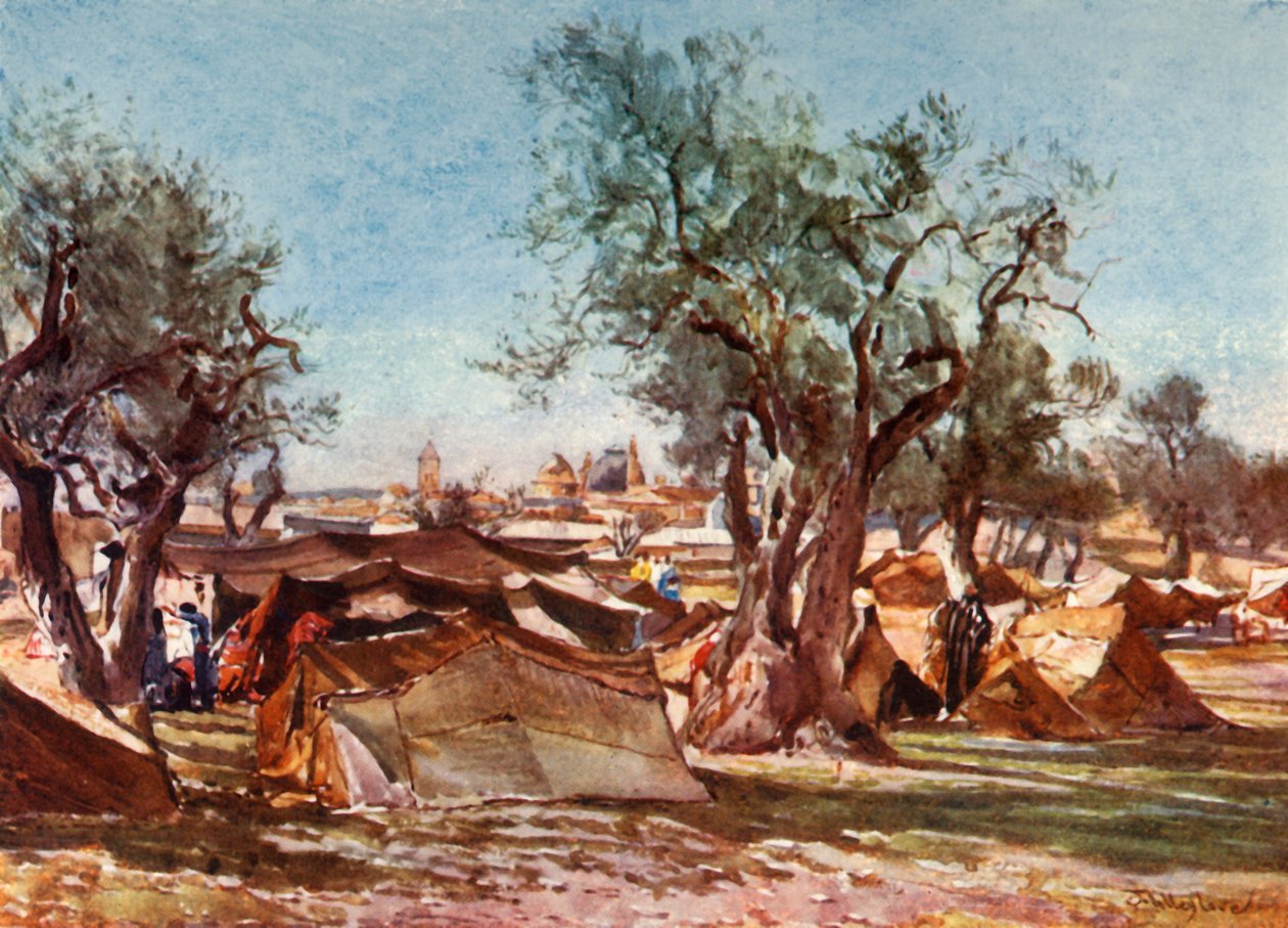 エルサレムの北壁の外にあるベドウィンの野営地、1902年。 作： John Fulleylove