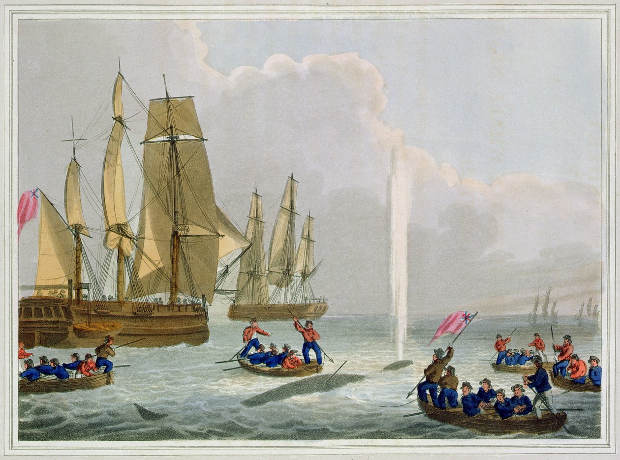 1813年にエドワードオームによって発行されたマシューデュブール（fl.1785-1820）によって刻まれたクジラに近づくボート 作： ジョン・ヘヴィサイド・クラーク