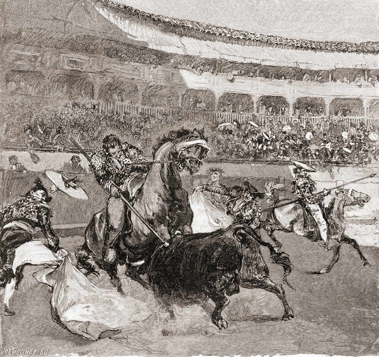 The Century Illustrated Monthly Magazineからのスペイン、セビリアの闘牛、1884年発行（木製彫刻） 作： ジョン・ヘンリー・エルズワース・ホイットニー