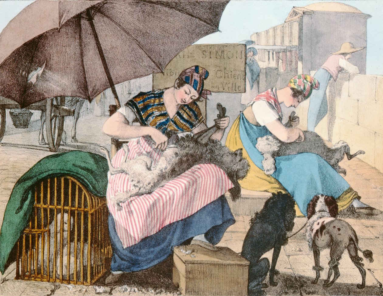 犬のグルーマー、1820年 作： ジョン・ジェームス・シャロン