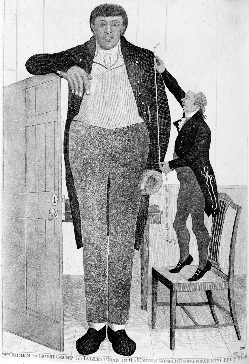 オブライエン氏、アイルランドの巨人、既知の世界で最も高い男、1803年。 作： ジョン・ケイ