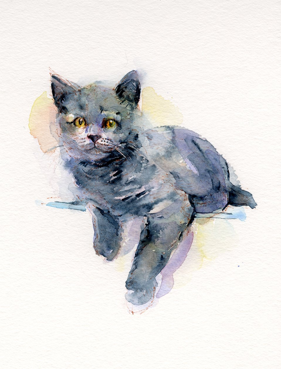 灰色の子猫、2017、（水彩） 作： ジョンキーリング