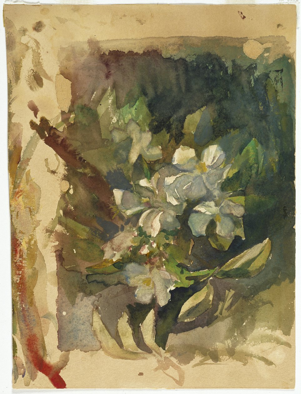 日光の中のリンゴの花（紙にトイレ） 作： ジョン・ラ・ファージュまたはラファージュ
