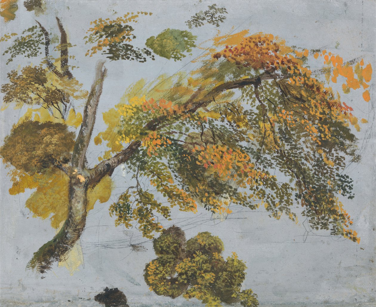 Baumstudie (Herbstlaub) 作： ジョン・リンネル