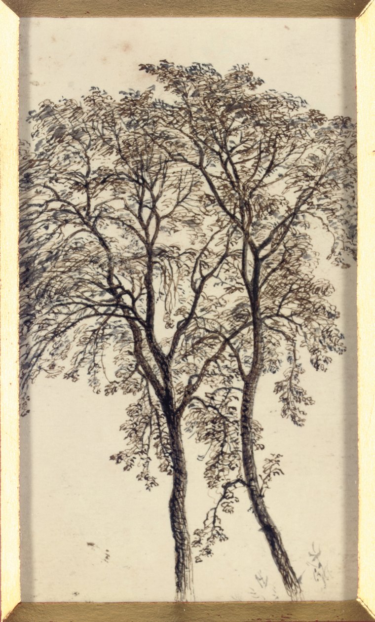 木の研究 作： John MacWhirter