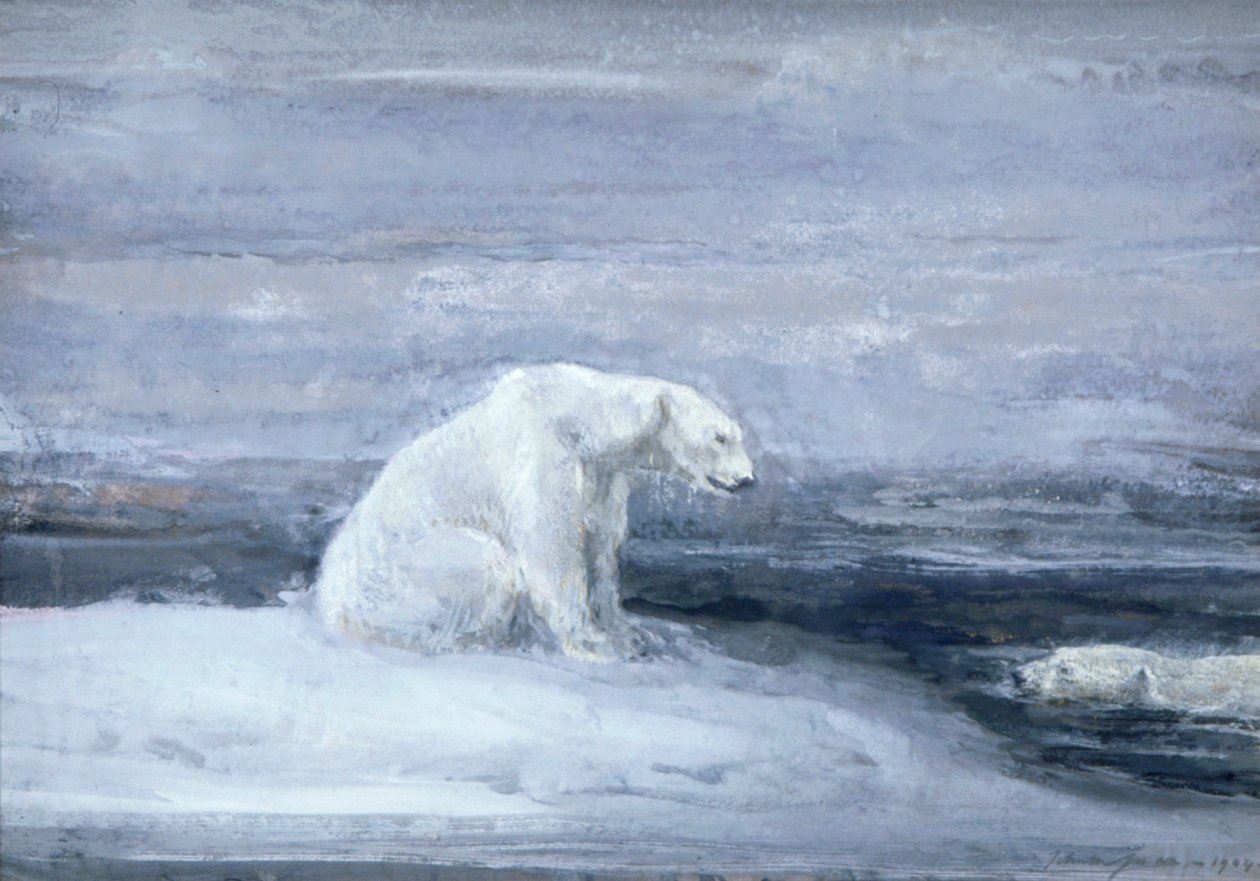 「氷の穴でアザラシを探すホッキョクグマ」、c1867-1910 作： ジョン・マッカラン・スワン