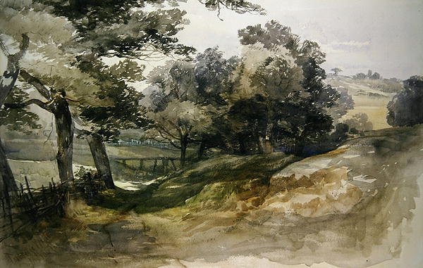 A Shady Lane, Tunbridge Wells 作： ジョン・ミドルトン