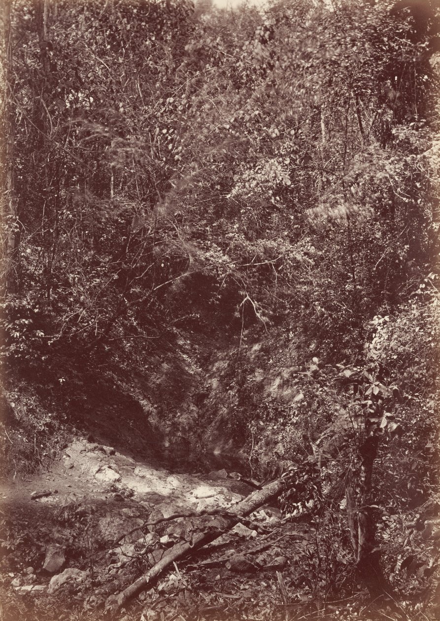 ダリエン探検隊、1871年（写真） 作： ジョン・モラン