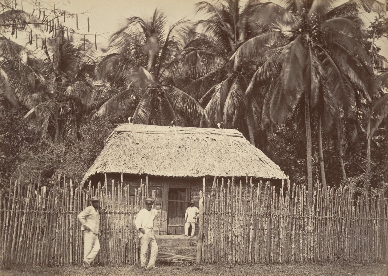 熱帯の風景、先住民の小屋、ターボ、1871年。 作： ジョン・モラン