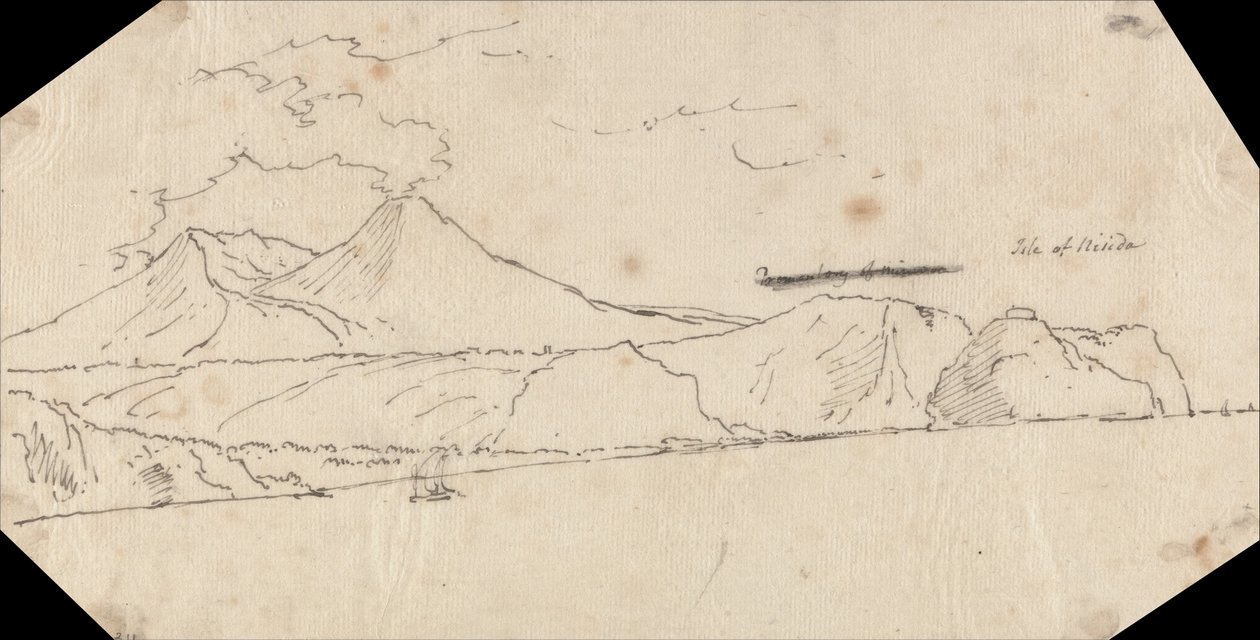 ニシダ島 作： ジョン・ロバート・コーズ