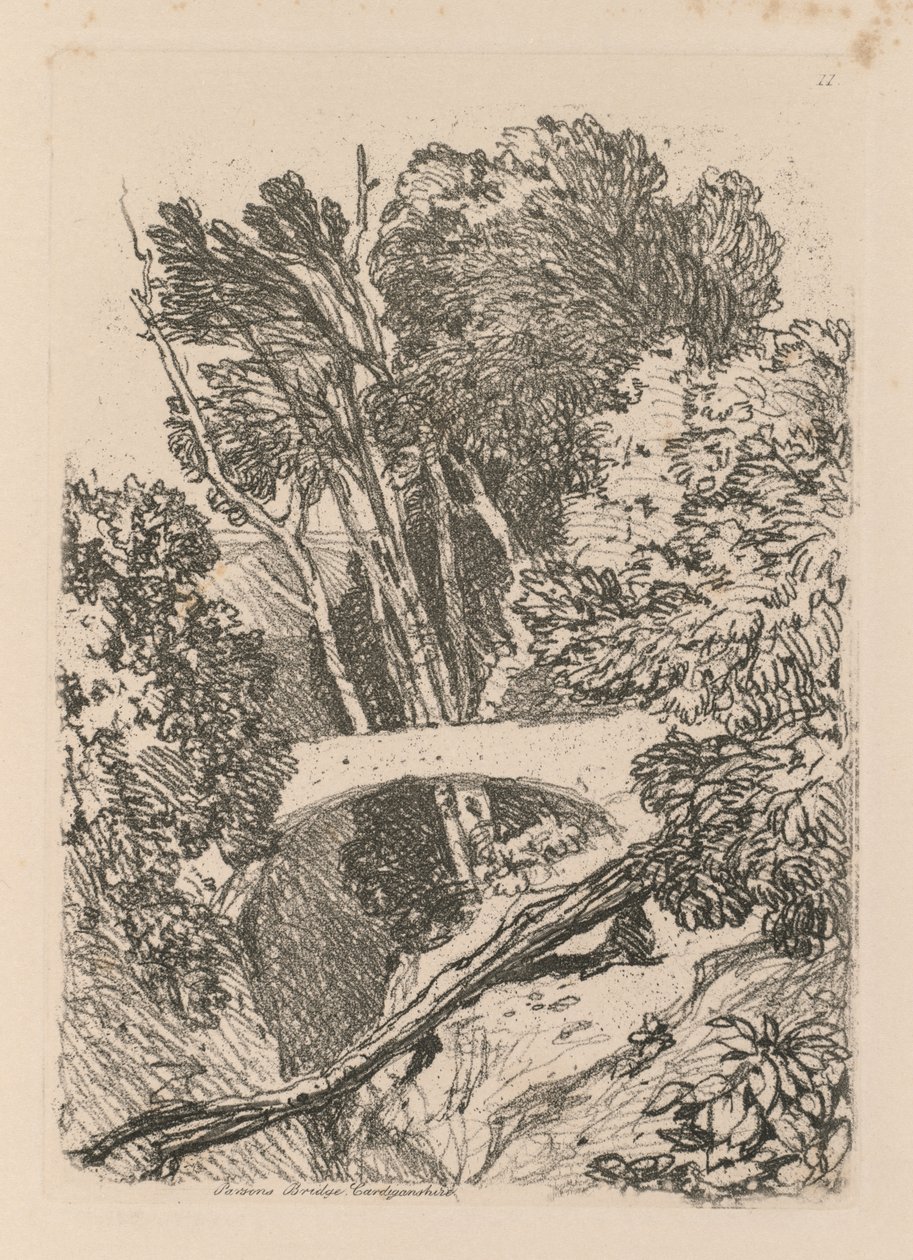 研究は無料です。Plate11 Parsons Bridge Cardingshire、1838。 作： ジョンセルコットマン