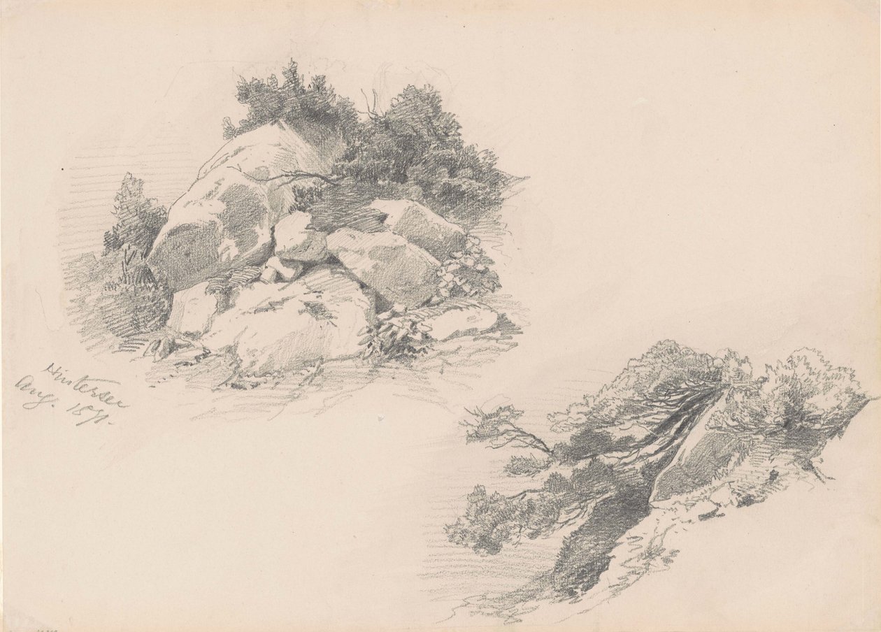 Rocks and Brush、ヒンターゼー、ドイツ、1871年（woverペーパー上のグラファイト） 作： ジョン・シンガー・サージェント