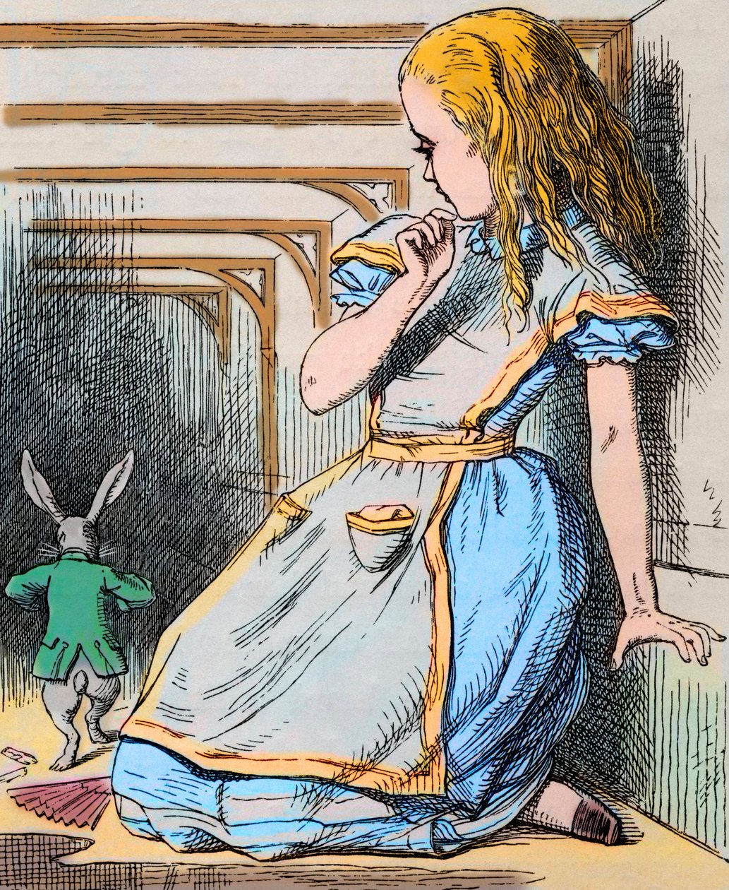 アリスと白うさぎ。ルイス・キャロルの「不思議の国のアリス」初版のジョン・テニエルによる挿絵（1865年） - ルイス・キャロルの物語「不思議の国のアリス」の挿絵（Charles Lutwidge Dodgson 作： ジョン・テニエル